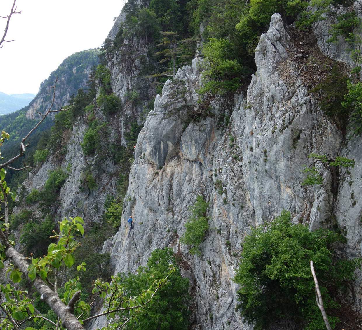 Pohľad z Tirolersteigu na lezcov v kľúčovej dĺžke cesty Hamburger Pfelier
