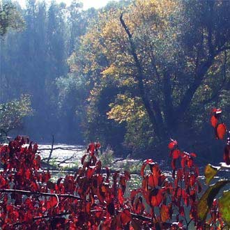 Októbrové pranostiky