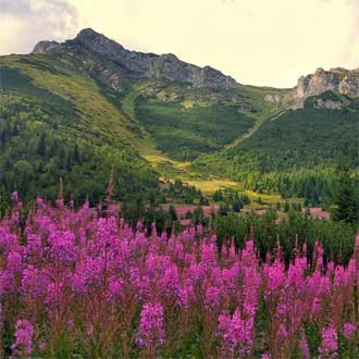 Fotopotulky po Belianskych Tatrách