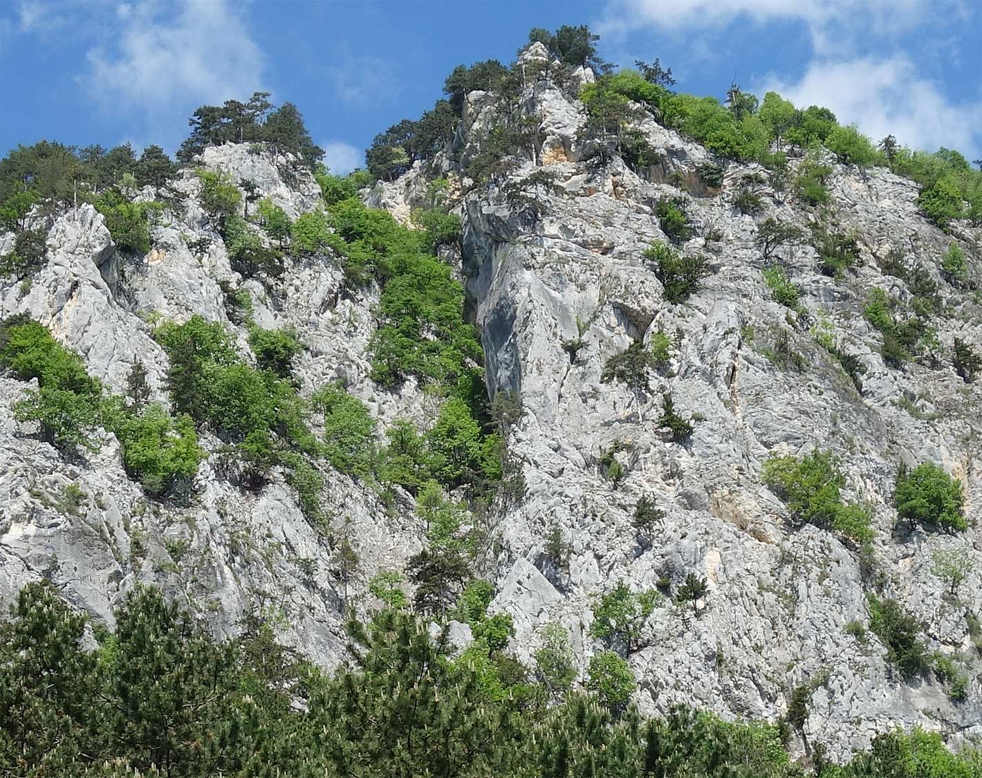 Pohľad na hrebeň Tirolergrat. V strede je hrana - nájdete ju podľa tmavosivo zafarbeného pásu naľavo a nad ňou traverz