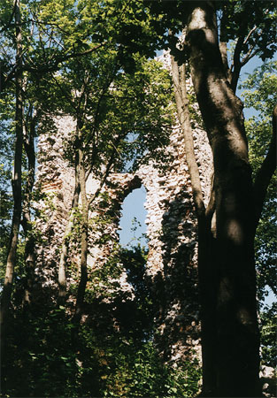 Ruines of the Dobra Voda castle