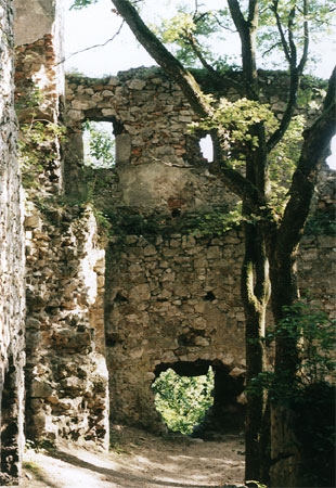 Ruines of the Dobra Voda castle
