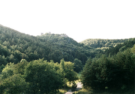 The ruines of the Dobra Voda castle