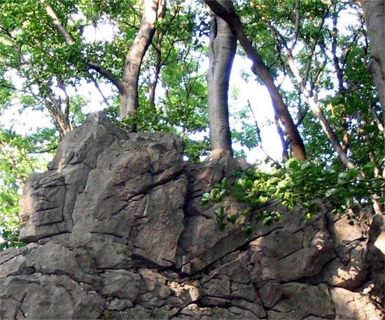 Päť skalných opíc na hrebeni Zárub