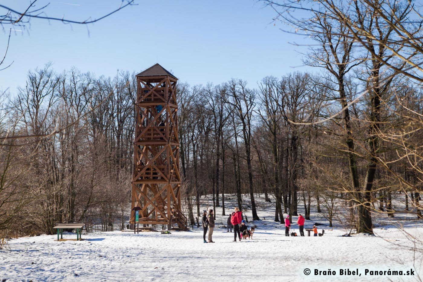 Wooden sightseeing tower in Bratislava forests in Winter