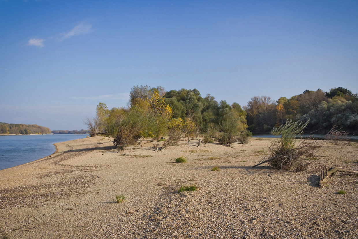 Na pravom - maďarskom brehu Dunaja. Vľavo za vodou Veľkolélsky ostrov