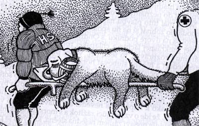 Ivan Bajo: Ilustrácia z knihy Demänovské psiny