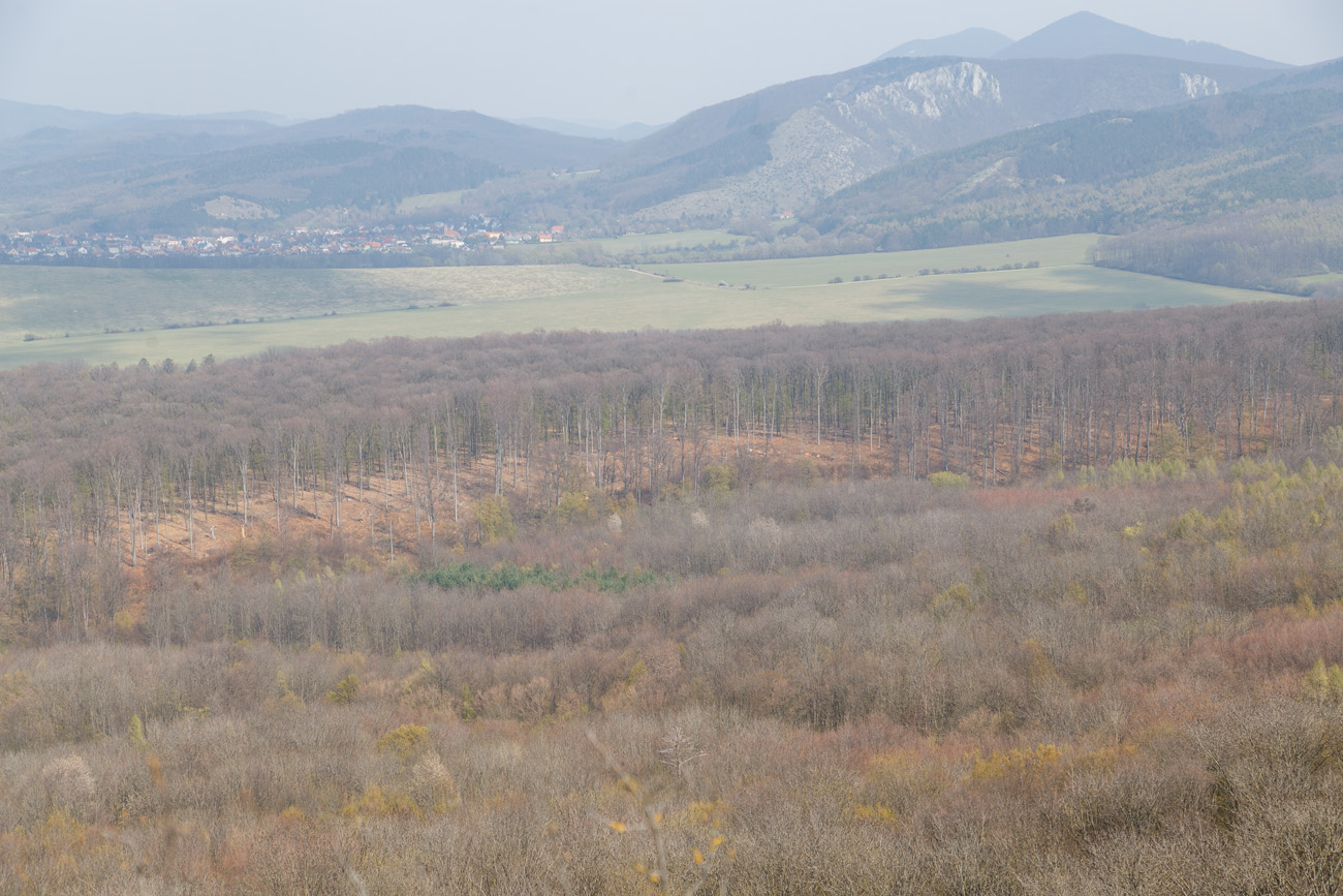 Výhľad z Plaveckého hradu smerom na sever na hrebeň Kršlenice
