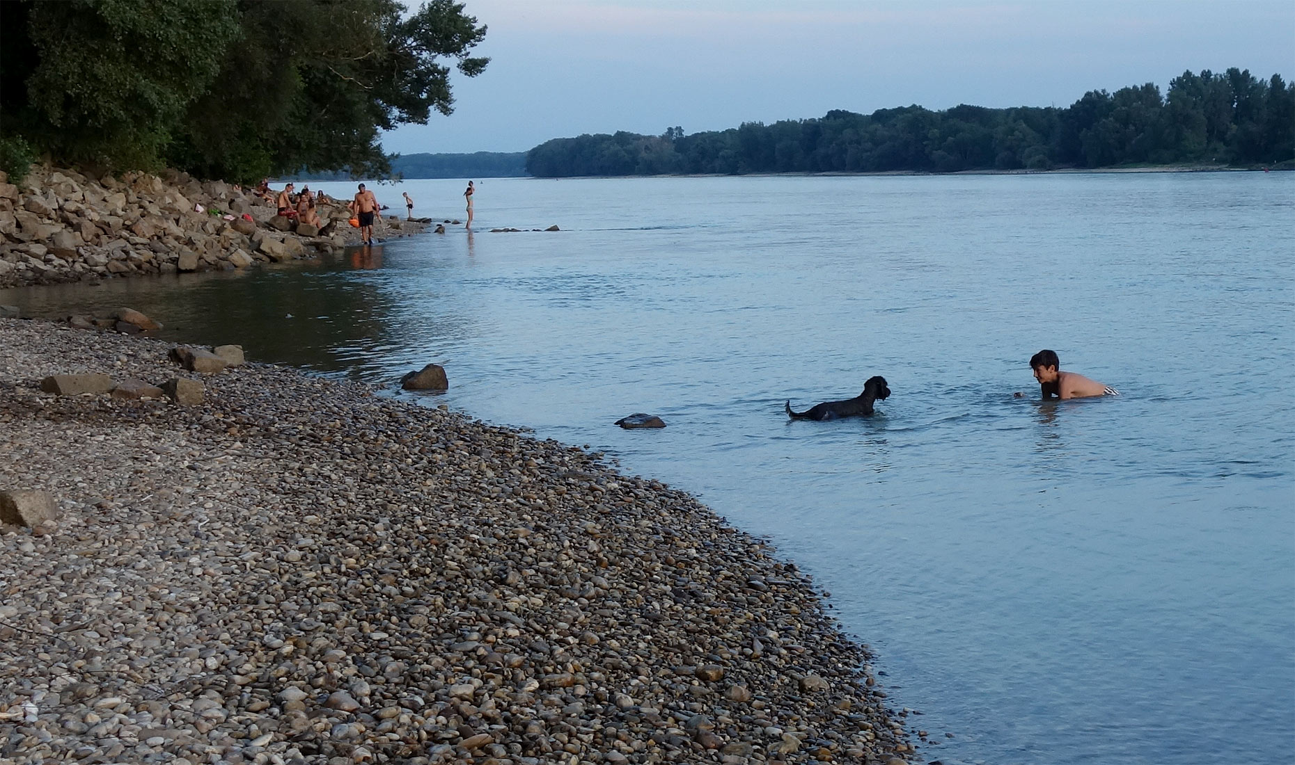 Aj psíkom sa v Dunaji páči