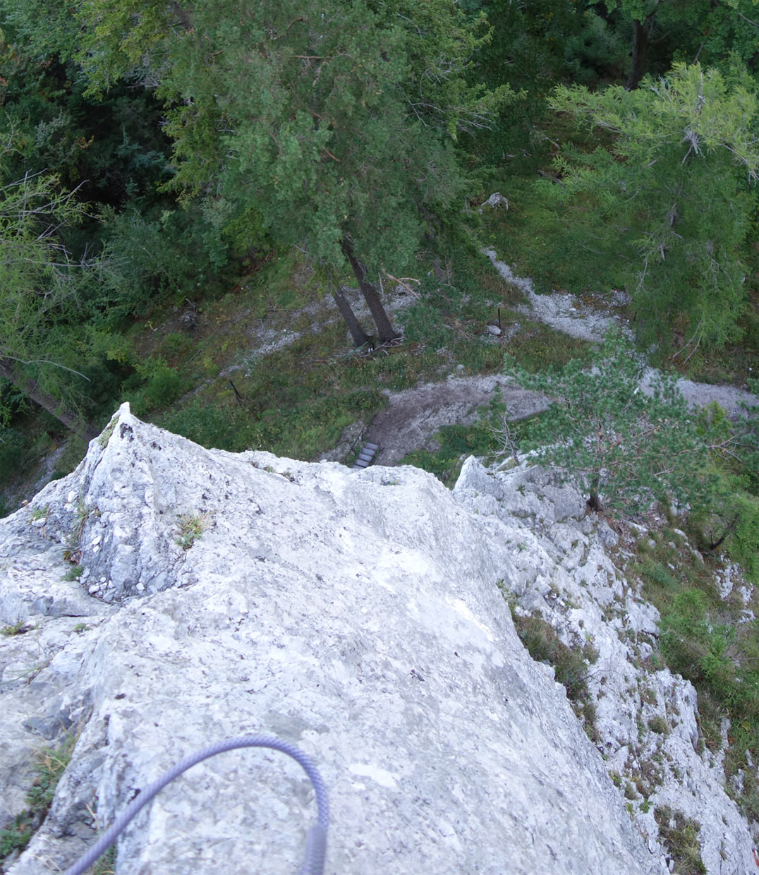 Žraločie plutvy