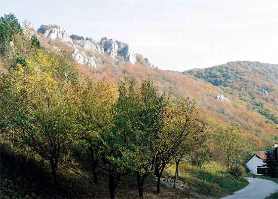 Krslenica rocks above Plavecky Mikulas