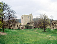 Na nádvorí hainburského hradu